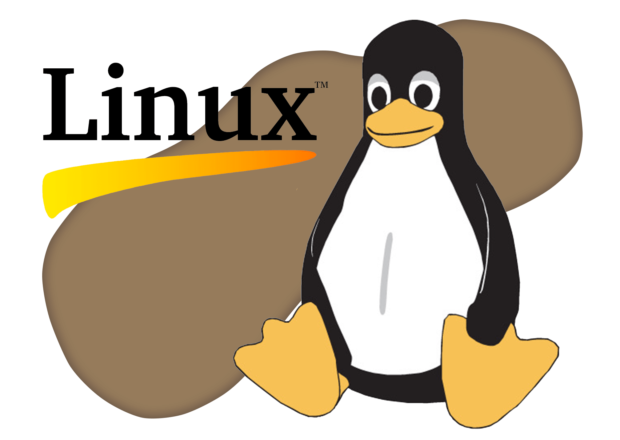 MemDog Domains cPanel Hosting | Business Website Hosting Services | cPanel Linux Hosting Plans